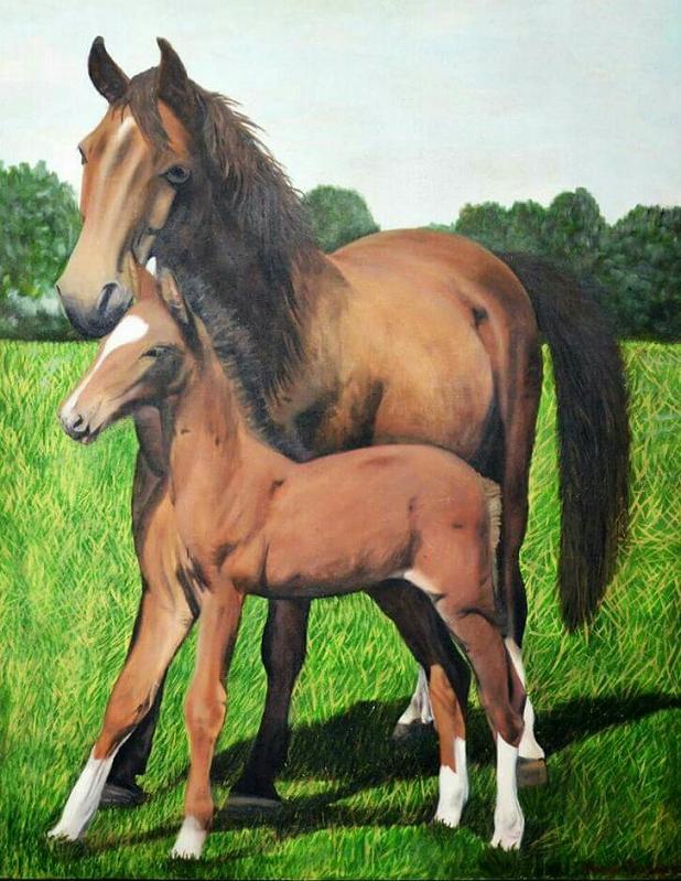 cid:0058B8550264464CB8884495BADC2F77@mario