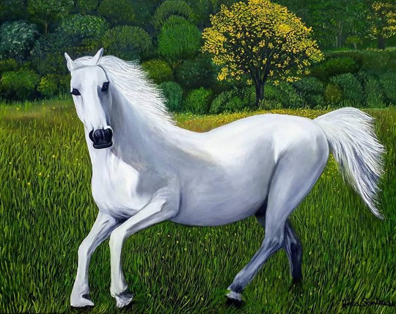 cid:3B0F2FB4355C4B61898F3079B4B5800B@mario