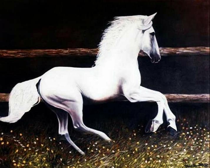 cid:248D97DFFAB64B2292A810734AC1B4BB@mario